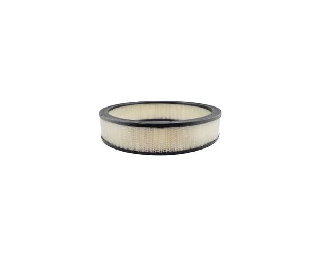 PA2002 Air Filter for 1970-1970 Ford Mustang