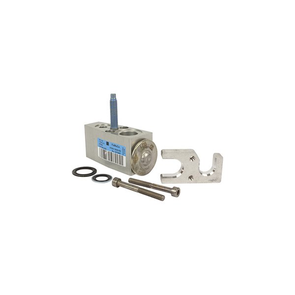 YG810 Engine Valve Assembly for 2015-2019 Ford Mustang