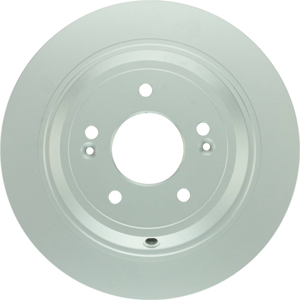 28011491 Rear Disc Brake Rotor for 2010 Hyundai Genesis