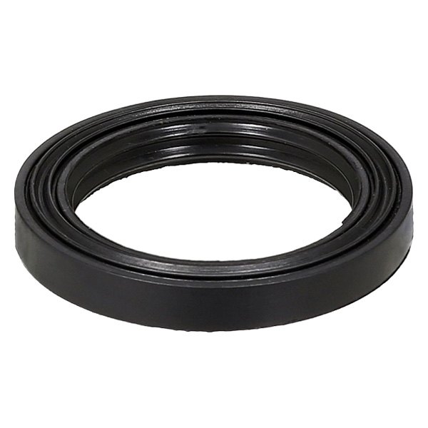 612001 Spark Plug Hole Gasket