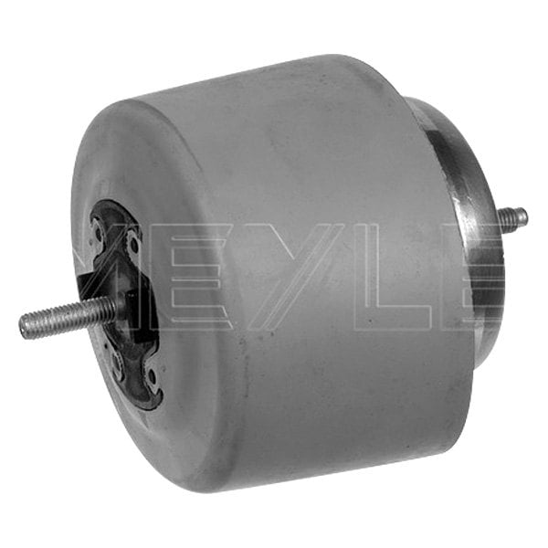 1001990083 Engine Mount for 2002-2005 Audi A4 Base, B6