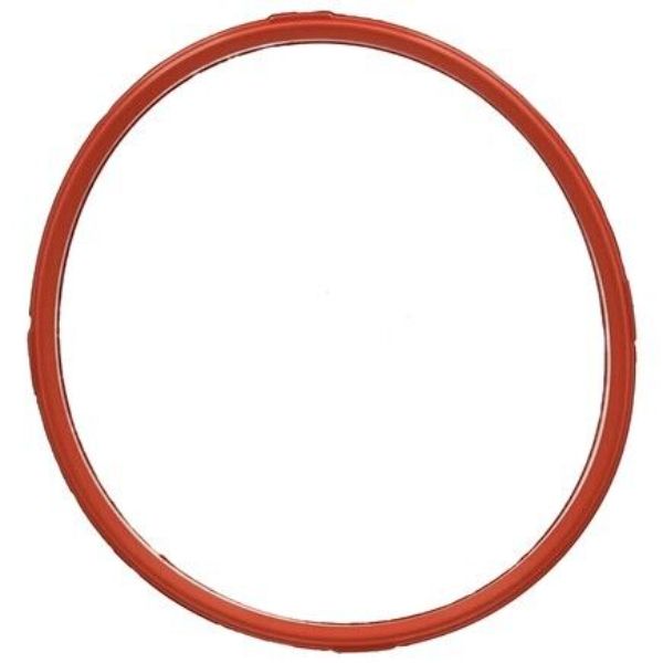 359380 Throttle Body Gasket for 2001-2002 BMW 325CI