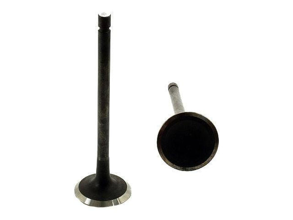 12012BMN Exhaust Valve Kit