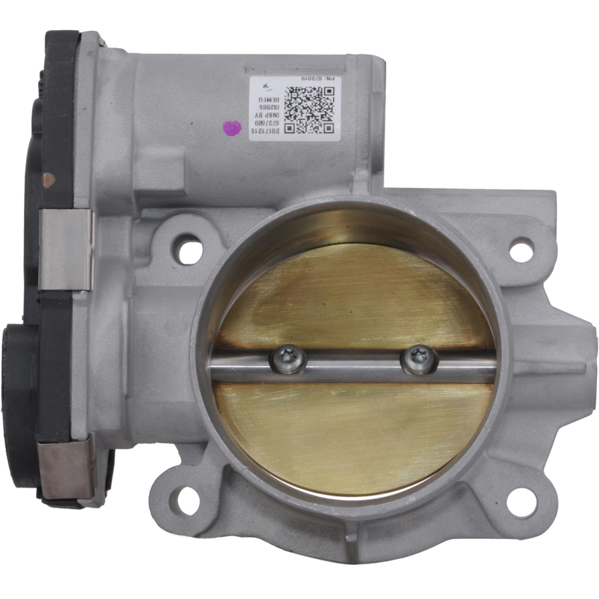Picture of A1 Cardone 67-3019 Throttle Bodies for 2010-2010 Buick Lacrosse
