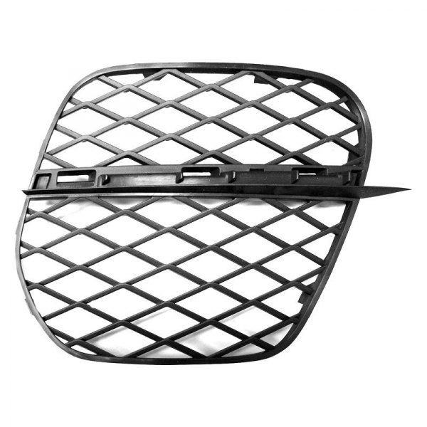 BM1039132 Bumper Insert for 2011-2013 BMW X5