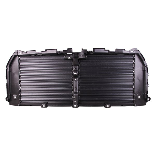 FO1206116 Bumper Grille for 2017 Ford F150 Raptor