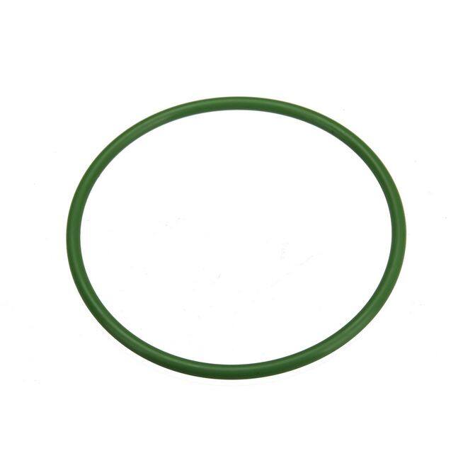 NI0515882 Fuel Pump Seal