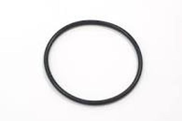 11511705408EC Engine Water Pump O-Ring for 2005 Land Rover Range Rover