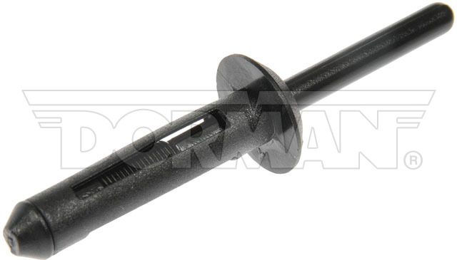 Dorman 963-201D Plastic Blind Rivet for GM - 0.54 In.
