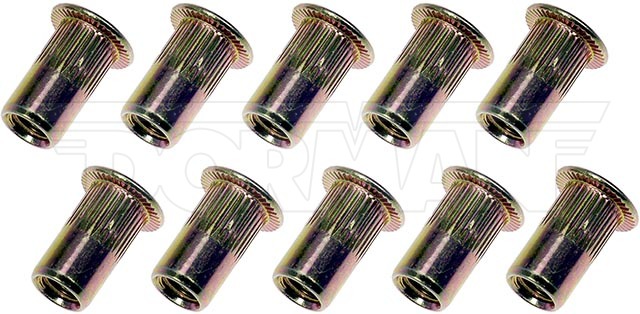 Dorman 963-251D 10-24 Rivet Nut