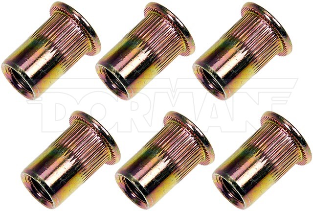 Dorman 963-252D 0.31-18 Rivet Nut