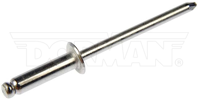 Dorman 961-015 Steel Rivet, Assortment