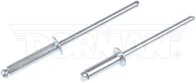 Dorman 961-020 Steel Rivet, Assortment