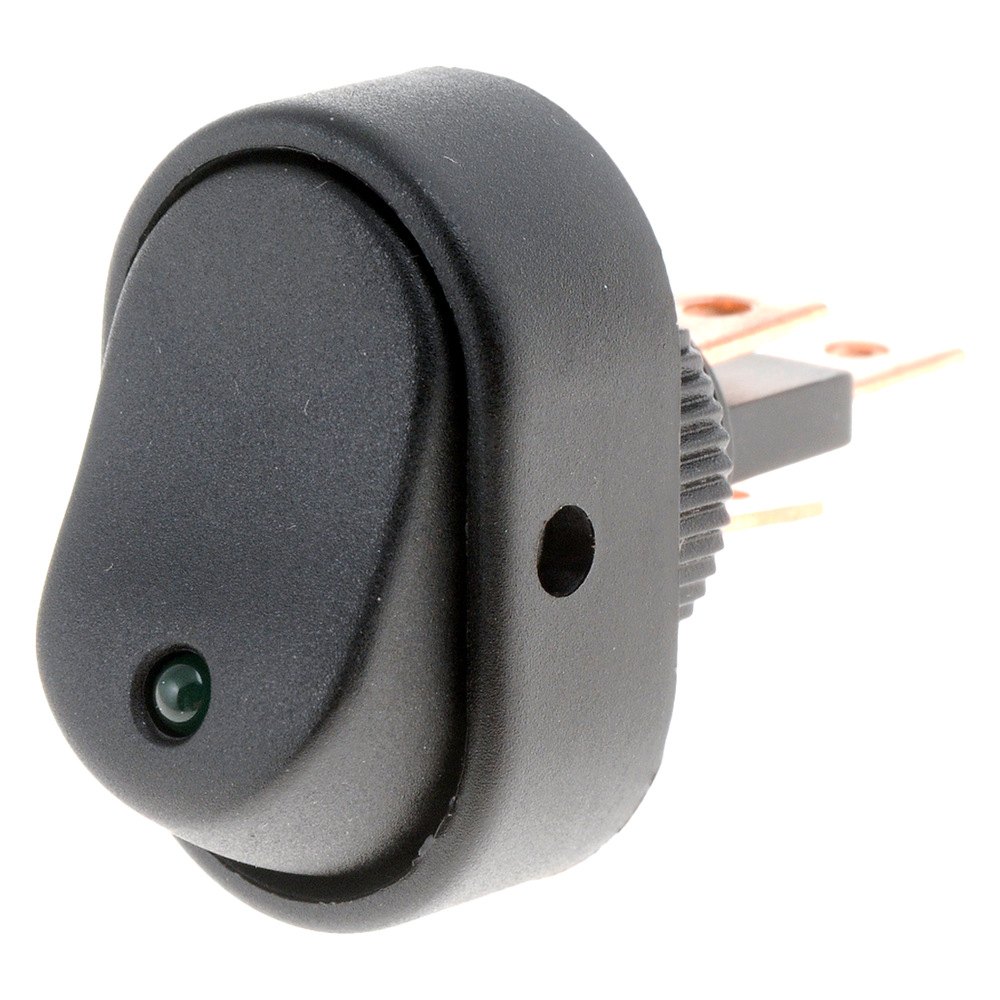 84843 Rocker Type Switch