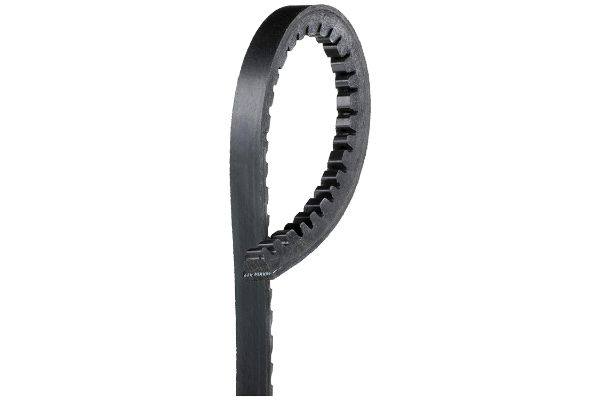9810 Automotive Drive Belt