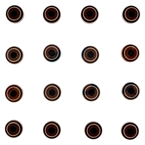 AVS1003 Valve Stem Seal Set for 1997-1999 Acura CL