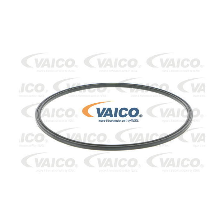 V10-4417 Fuel Sender Unit Seal for 2011 Audi A4 1.8 TFSI