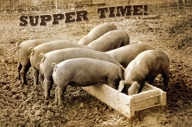 Picture of Angela Faye Daniel AIF147 Pigs Supper Time Vintage Metal Sign - 18 x 12 in.