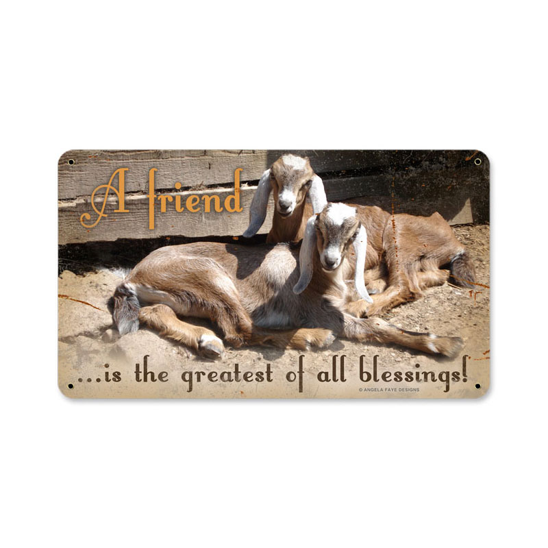 Picture of Angela Faye AIF028 14 x 8 in. Friend Is A Blessing Metal Sign