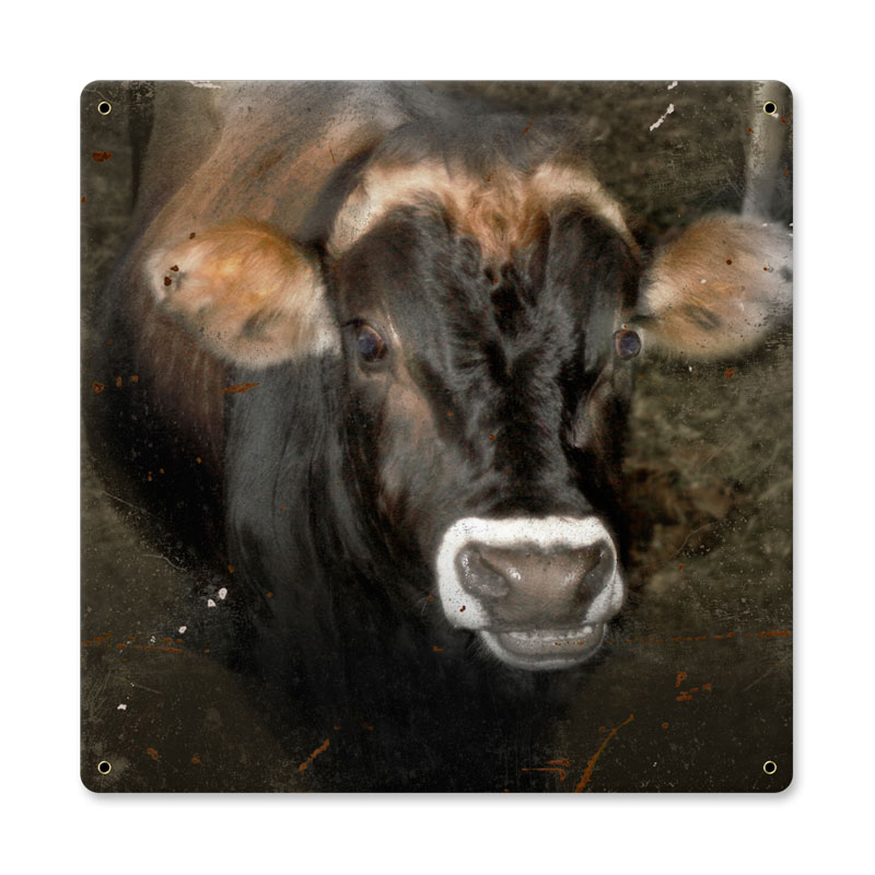 Picture of Angela Faye AIF051 12 x 12 in. Cow Face Metal Sign