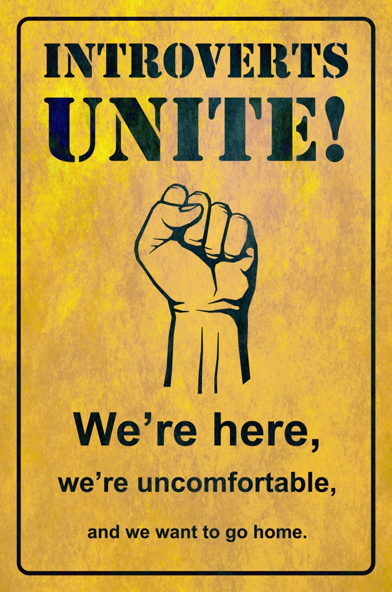 Picture of Pasttime Signs PTSB325 12 x 18 in. Introverts Unite Vintage Sign