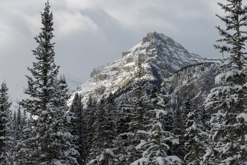 Rugged Mountain Peak with Snow Under A Cloudy Sky - Lake Louise Alberta Canada Poster Print by Keith Levit, 38 x 24 - Large