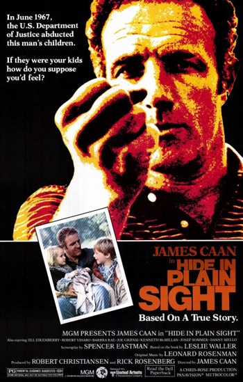 Hide in Plain Sight Movie Poster - 11 x 17 in.