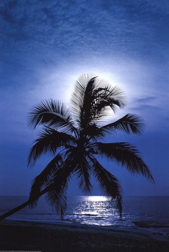Moonlight Sonata Poster Print - 24 x 36 in.
