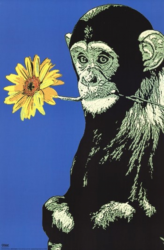 Monkey Flower Poster Print by Steez - 24 x 36 in.