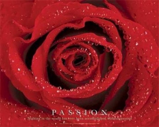 Passion Poster Print - Red - 20 x 16 in.