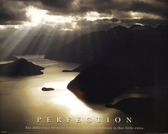 Perfection Poster Print - 20 x 16 in.