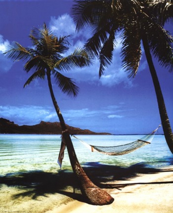 Beach Hammock Poster Print - 16 x 20 in.