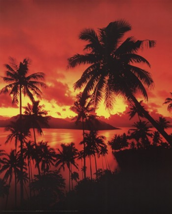 Beach Sunset in Fiji Poster Print - 16 x 20 in.