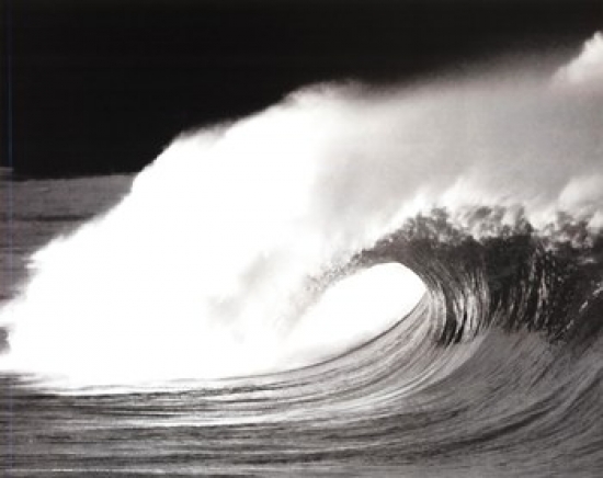 Wave Black & White Poster Print - 20 x 16 in.