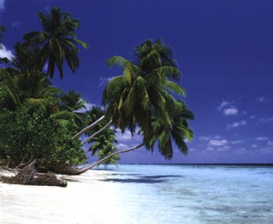 Maldive Morning Poster Print - 20 x 16 in.