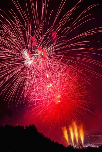 DPI12285195 Colourful Fireworks - Calgary Alberta Canada Poster Print by Michael Interisano, 12 x 19