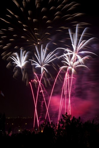 DPI12285198 Colourful Fireworks At Nighttime - Calgary Alberta Canada Poster Print by Michael Interisano, 12 x 19