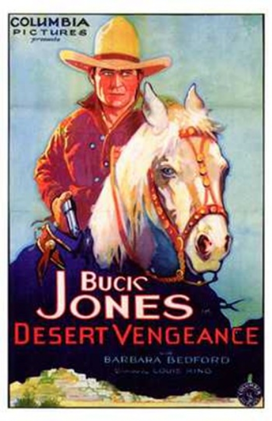 Desert Vengeance Movie Poster - 11 x 17 in.