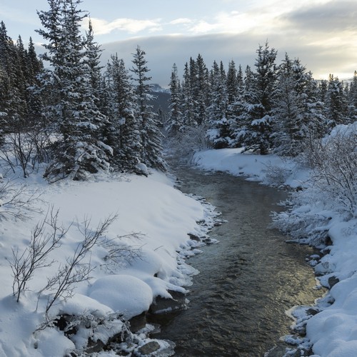 A River Flowing Through A Snow Covered Landscape - Lake Louise Alberta Canada Poster Print by Keith Levit, 24 x 24 - Large