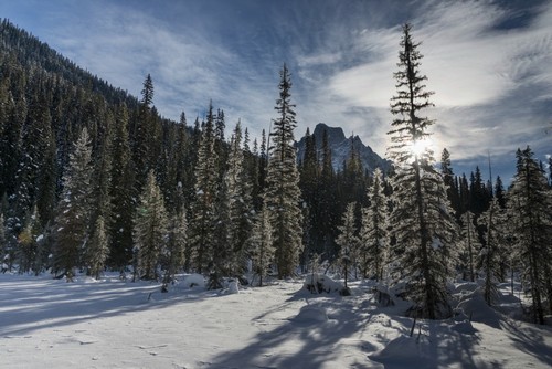 Snow On The Rugged Canadian Rocky Mountains & Trees Yoho National Park - Field British Columbia Canada Poster Print by Keith Levit - 38 x 24 - Large -  BrainBoosters, BR3148284