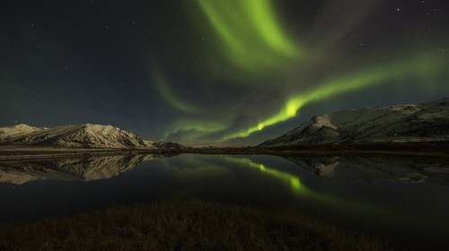 Northern Lights Aurora Borealis Over The Dempster Highway & Reflected Into A Pond - Yukon Canada Poster Print by Robert Postma, 20 x 11 -  BrainBoosters, BR930611