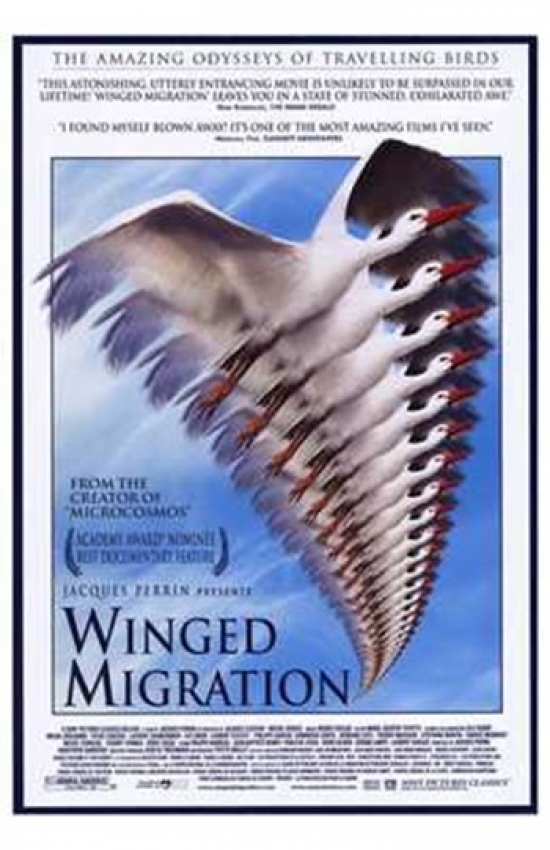 Winged Migration Movie Poster - 11 x 17 in.