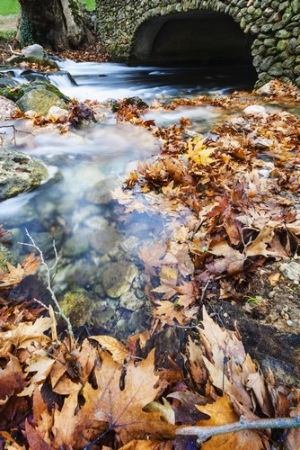 River Flowing Under Stone Bridge with Floating Autumn Coloured Leaves - Naoussa Greece Poster Print by Reynold Mainse, 24 x 38 - Large