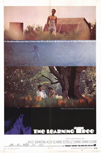 MOV255124 The Learning Tree Movie Poster - 11 x 17 in.