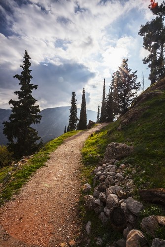 Walking Path On Mount Parnassus - Delphi Greece Poster Print by Reynold Mainse - 12 x 19