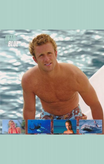 Into the Blue Movie Poster - 11 x 17 in.