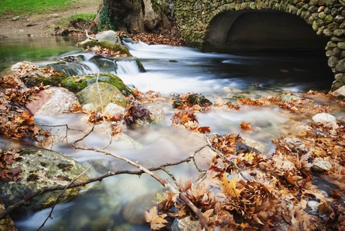 DPI12286703 River Flowing Under Stone Bridge with Floating Autumn Coloured Leaves - Naoussa Greece Poster Print by Reynold Mainse, 19 x 12