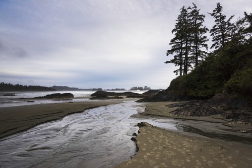Stream of Water Flowing On The Beach from The Ocean - Tofino British Columbia Canada Poster Print by Keith Levit - 20 x 13