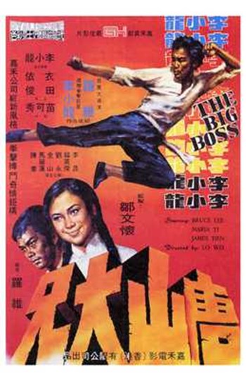 Big Boss Movie Poster - 11 x 17 in.