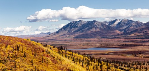 Scenic View of Peak Fall Colors Along Matanuska Valley Southcentral Alaska Poster Print by Ray Bulson - 44 x 21 - Large